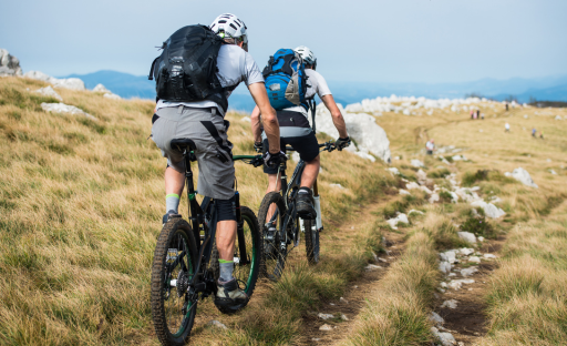 Two Wheels, Infinite Thrills: Top Bike Games to Play Now