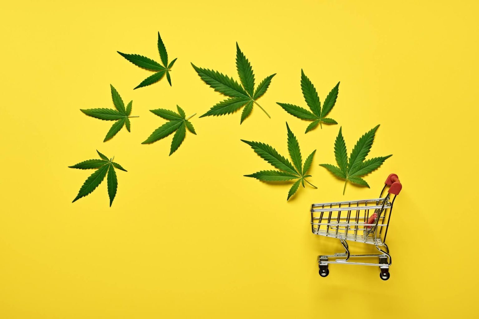 A Smart Buyer’s Guide: What You Should Know Before Purchasing CBD in the UK