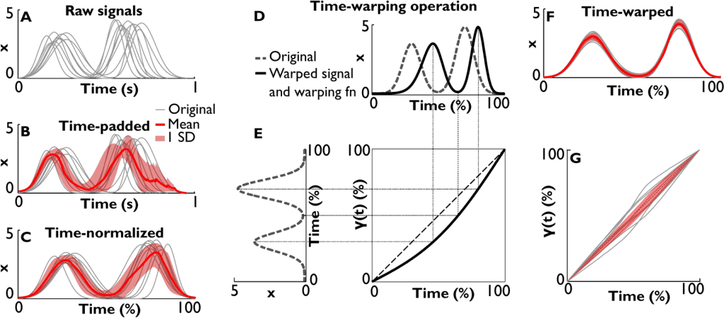 Time Warping in Process Comparison: Adjusting for Variability in Time to Compare Process Traces More Accurately