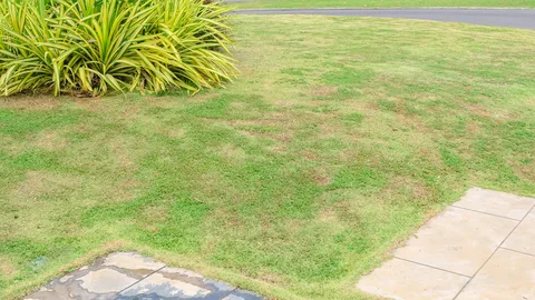 The Ultimate Lawn Repair Manual: From Yellow Patches to Fungal Outbreaks — A Step-by-Step Approach