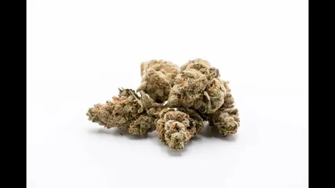 Why West Coast Weed Sets the Standard for Premium Cannabis in 2026