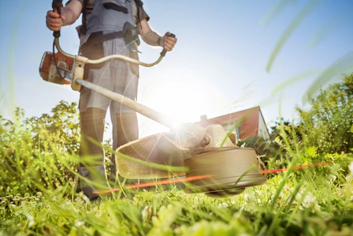 Fast and Safe Brush Clearing: Practical Methods That Actually Work