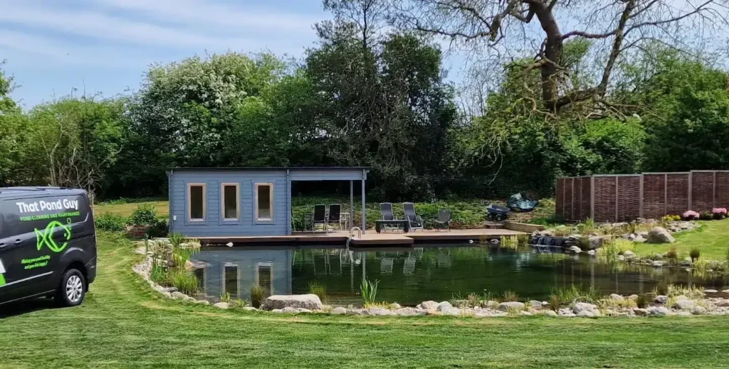 Low-Maintenance Pond Plants Perfect for Beginners and Garden Lovers